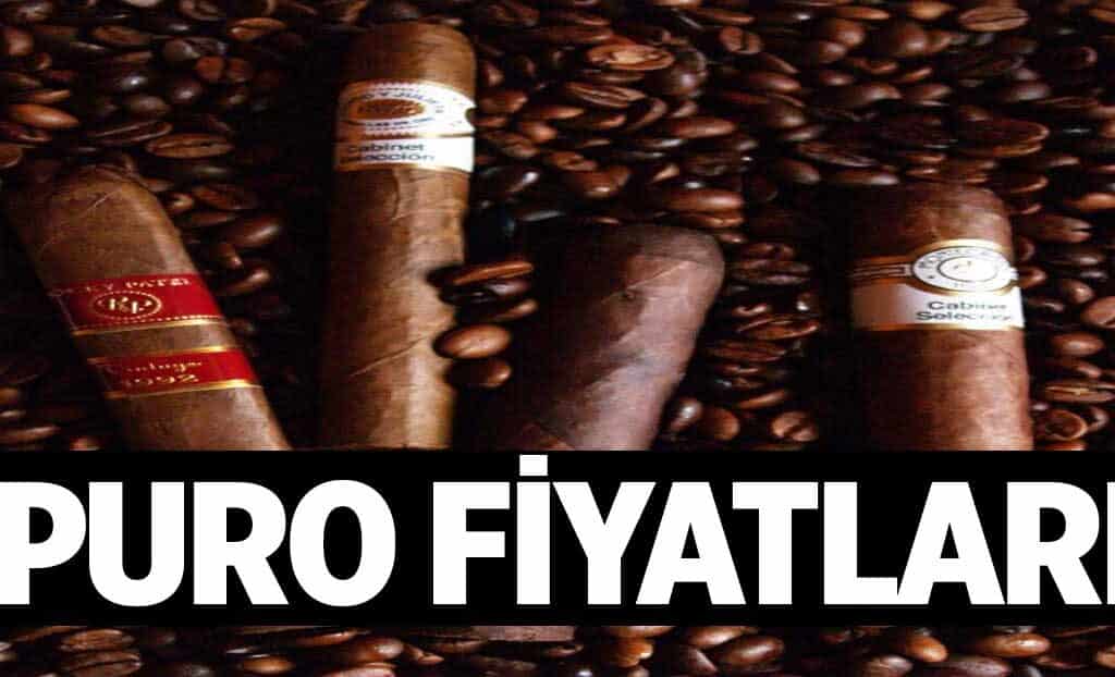 Puro Fiyatlari 1024x622lXK.jpg