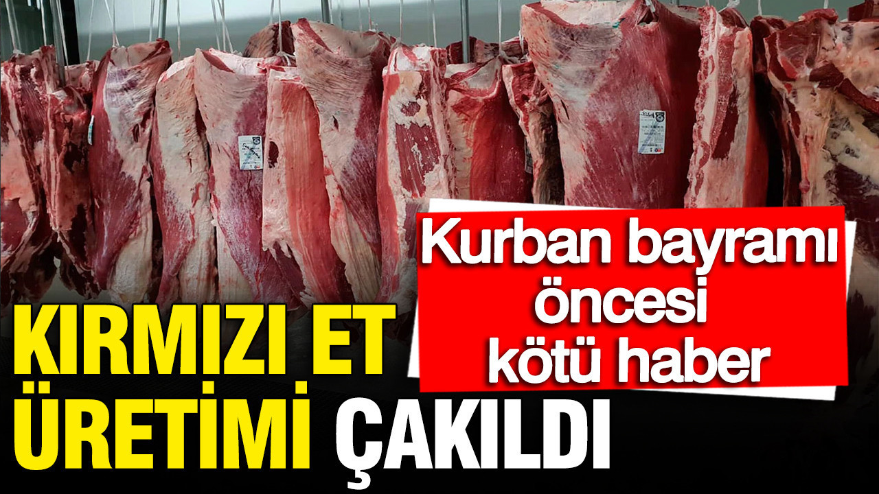Kırmızı Et Üretimi Düşüşte: TÜİK’ten Kurban Bayramı Öncesi Endişe Verici Rakamlar
